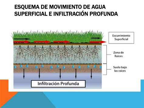 CLASE 2 DE RIEGO TERCERO El Riego En La Agricultura PPT