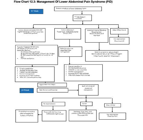 Lower Abdominal Pain Syndrome or Pelvic Inflammatory Disease (PID)