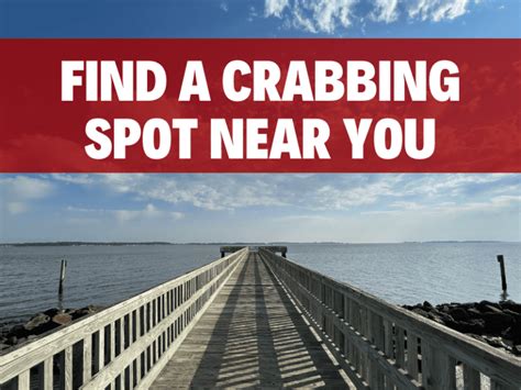 How To Go Crabbing With Ring Nets 1 Crabbing Hub