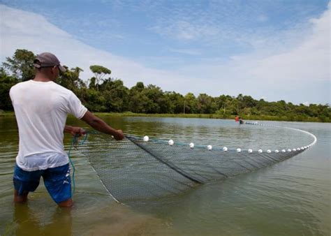 Embrapa lança plataforma voltada para a aquicultura Máquinas e