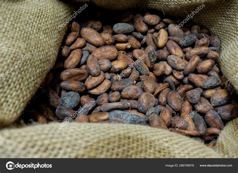 Toasted Cacao Beans Stock Photo By Lucidwaters 266749576