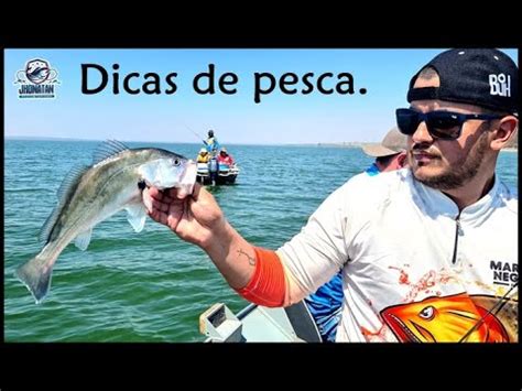 Dicas De Um Guia De Pesca Para O Melhor Hor Rio Para A Pescaria De