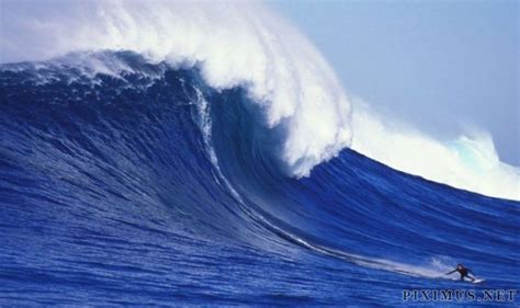 Surfing Giant Waves | Others