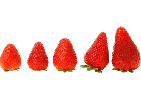 Strawberry Seed PNG Transparent Images Free Download | Vector Files ...