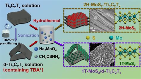 Tetrabutylammonium Intercalated T Mos Nanosheets With Expanded