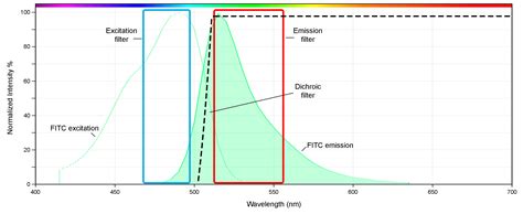 How To Read A Fluorescence Spectrum Aat Bioquest