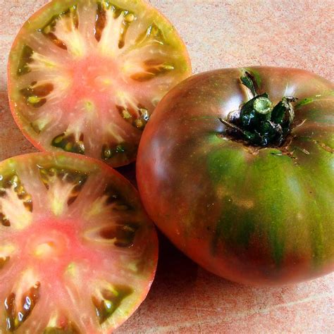 Pennington Cherokee Purple Tomato