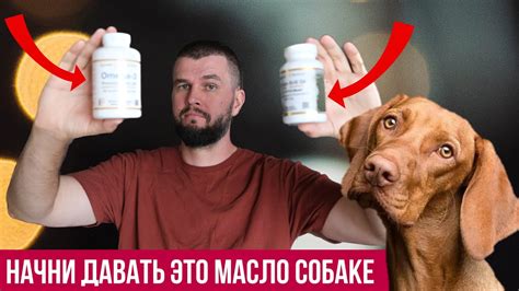Лучшие масла для собак - YouTube