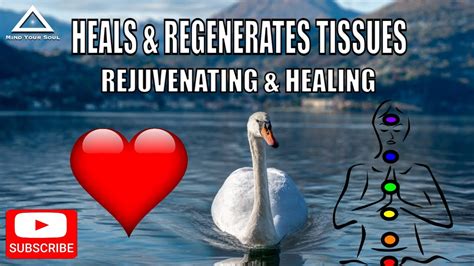 285Hz Heals Regenerates Tissues Relaxing Music Stress Relief Music