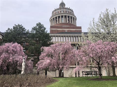 University Arboretum Recognized With Level Ii Arbnet Accreditation