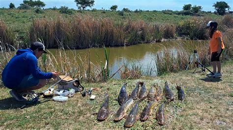 Este Arroyo Explota De Pescados Impresionantes Bagres Picaron Youtube