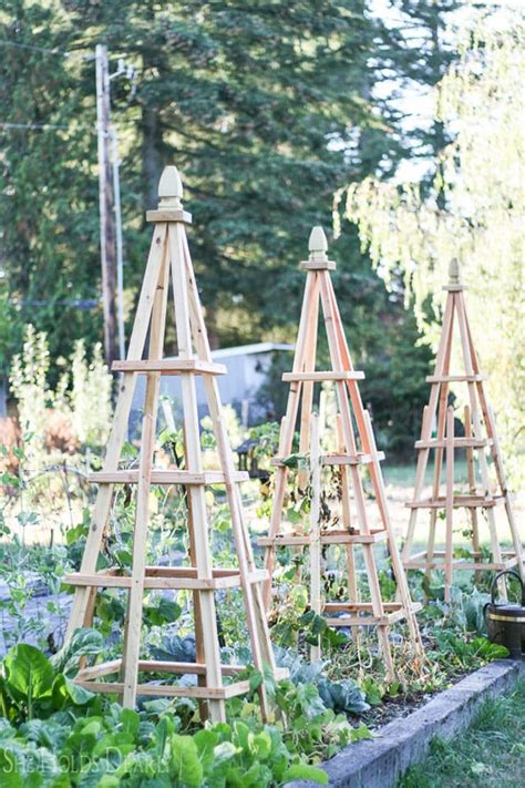 24 Easy Diy Garden Trellis Ideas And Plant Structures A Piece Of Rainbow