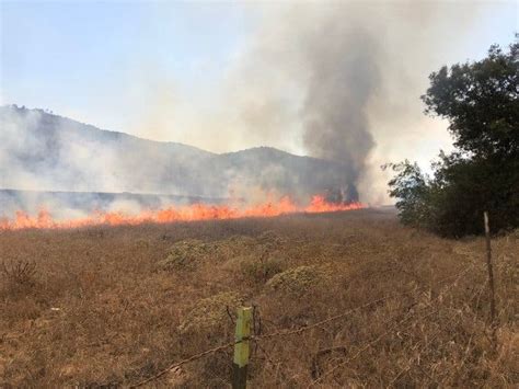 Brush Fires Fatal Train Crash Carlsbad Sd County Police Log