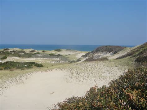 sandy neck beach | Mary Richmond's Cape Cod Art and Nature