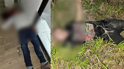 Nueva Masacre En El Cauca 4 Personas Fueron Asesinadas En El