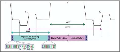 video signal  monitor hd sdi