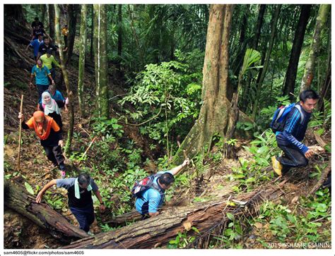 Jungle Trekking UUM Sintok Forest