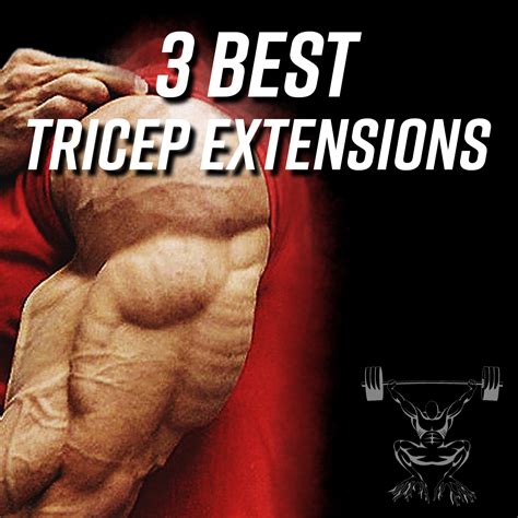 Tricep Extension for the Horseshoe – Garage Strength Performance Training