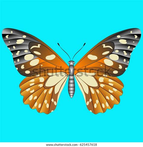 Bright Beautiful Butterfly Vector Illustration Isolated Stock Vector Royalty Free 625457618