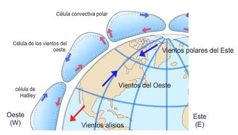 Vientos planetarios y circulación atmosférica Vientos Alisios del