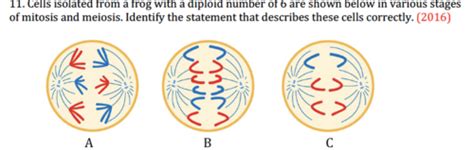 PCB 3063 Genetics Final Exam Flashcards Quizlet