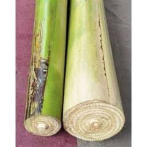 Jual Banana Leaf Banana Stem Gedebog Pelepah Pisang Batang Pisang