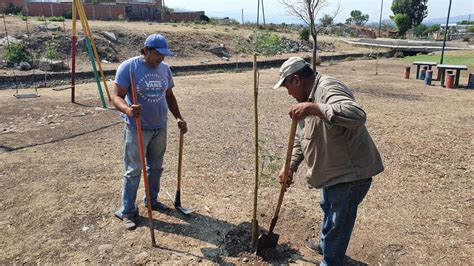 Junto A Vecinos De Palmeritas Se Plantaron Nuevos Rboles Noticias