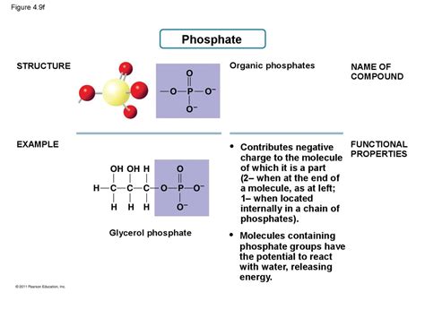 Phosphate Functional Group Example