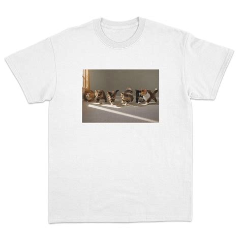 Gay Sex T Shirt Dippy Tees