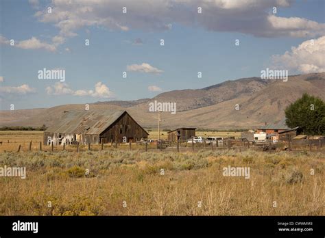 Old Barn In A Very Large Field Loyalton California Stock Photo Alamy