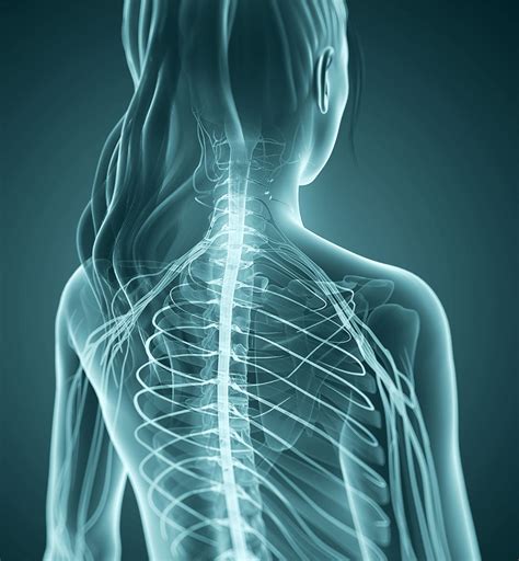 Emg Test For Cervical Radiculopathy Honislam