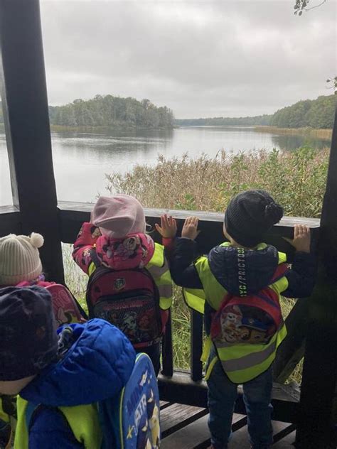 Nasza Pierwsza Wycieczka Wielkopolski Park Narodowy Przedszkole Nr