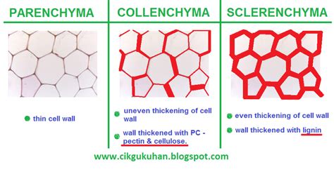 SOLVED Differentiate Between Different Types Of Simple Permane Self