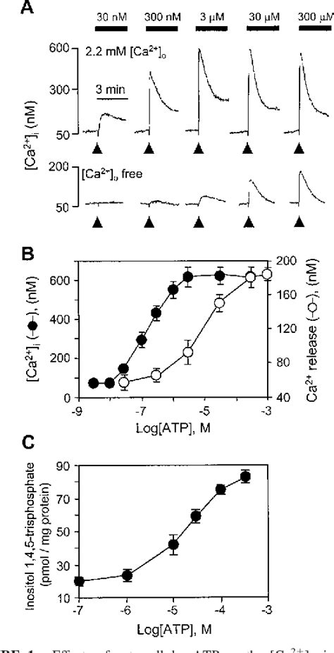 Figure 1 From P2x7 Nucleotide Receptor Mediation Of Membrane Pore