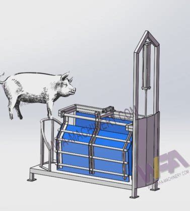 Complete Butcher Shop Pig Slaughterhouse Equipment Abattoir Hog