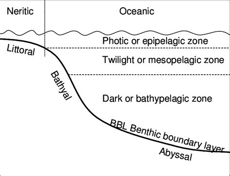 Habitat zones in the open ocean. | Download Scientific Diagram