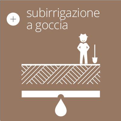 Irrigazione Veneta Subirrigazione A Goccia Alta Efficienza