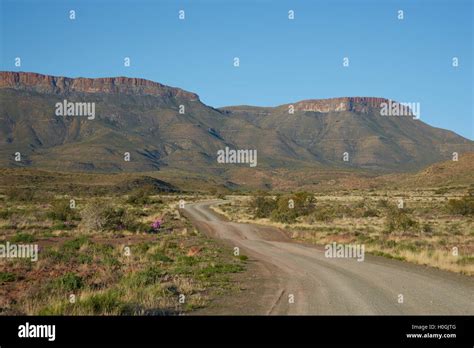 Karoo National Park Stock Photo Alamy