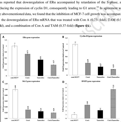 The Effect Of Treating Er Mcf 7 Cell Lines With Con A Andor Tam On Download Scientific