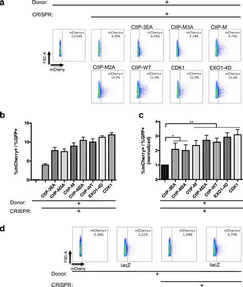 Figure 5 From Enhancing The Efficiency Of Crisprcas9 Precise Gene