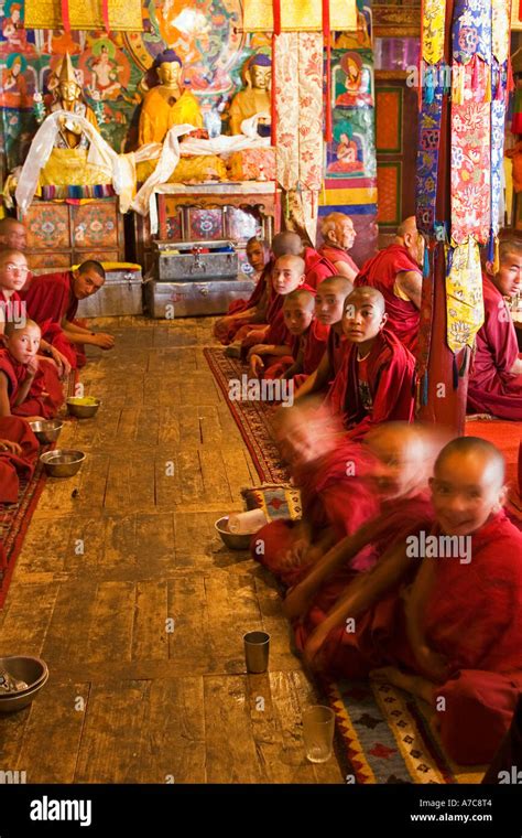 Young Monks and Monks of the Gelupa Order during Puja - Likir Gompa ...