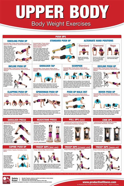 Chest Shoulders And Triceps Bodyweight Workout