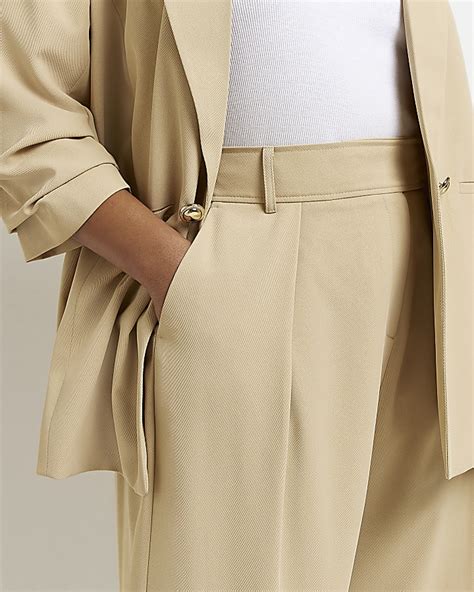 Plus Beige Pleat Wide Leg Trouser River Island