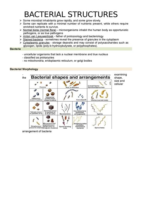 Micropara Bacterial Structures Bacterial Structures Some Microbial