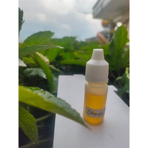 Jual BIANG ESSEN MURNI CHOYA 5ML Shopee Indonesia