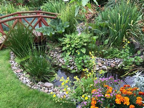 18 Preformed Ponds Water Garden Ideas You Cannot Miss | SharonSable