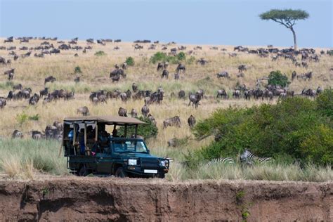 Safari Di Giorni Nel Masai Mara Da Nairobi Getyourguide