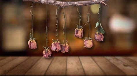 Hanging Roses Upside Down Spiritual Meaning Symbol Of A Rose