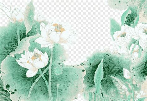 Pintura De Flores Blancas Nelumbo Nucifera Lavado A Tinta Pintura