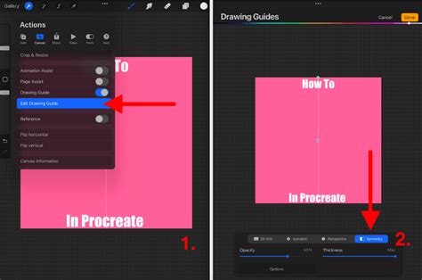 Mastering Mirroring In Procreate A Step By Step Guide Homeostasis Lab